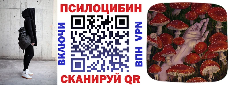 OMG   Белогорск  Галлюциногенные грибы прущие грибы  сколько стоит 
